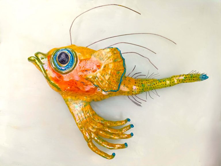 Monica Fergus - Plankton - Angler fish larva
