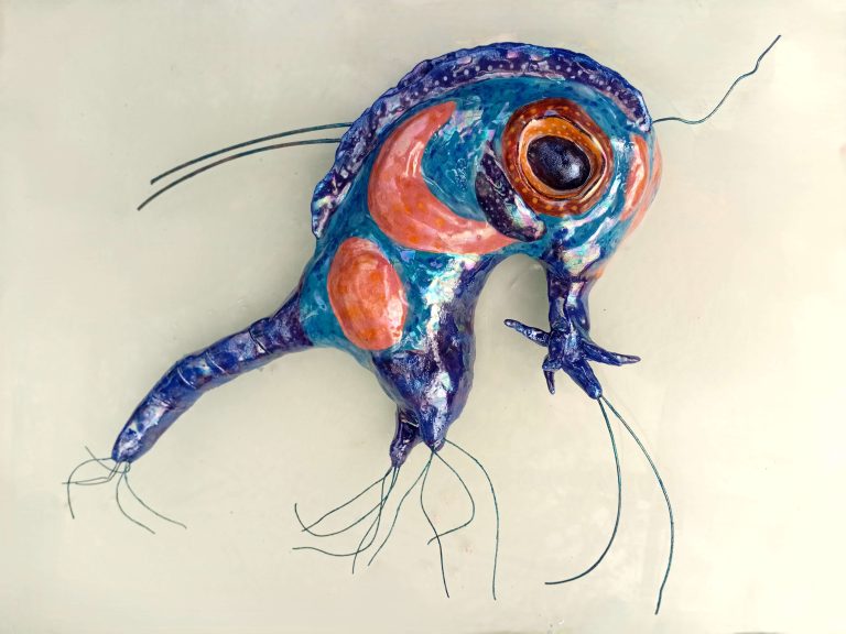Monica Fergus - Plankton - Green Crab larva