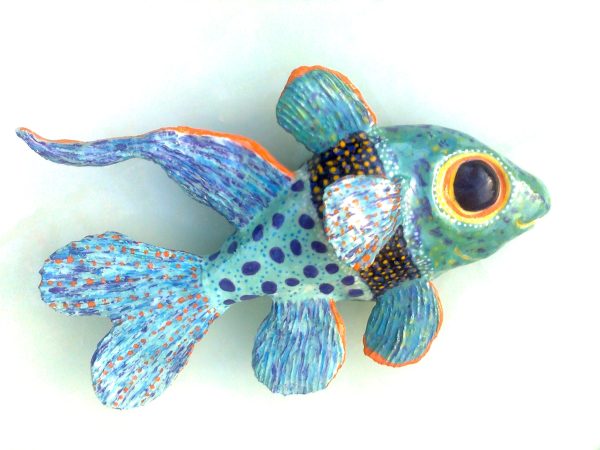 Monica Fergus - Coral Cardinalfish