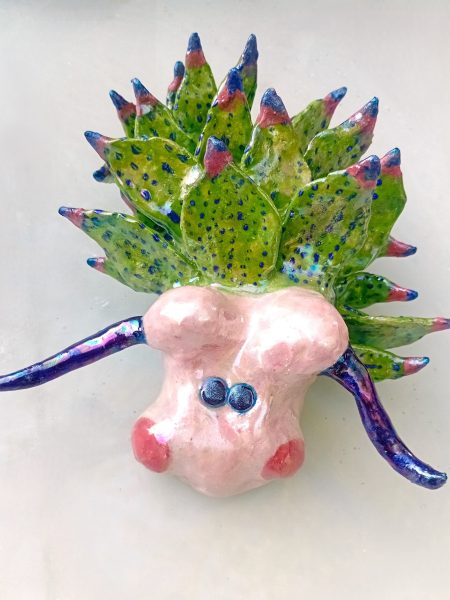 Explore Sea Slugs