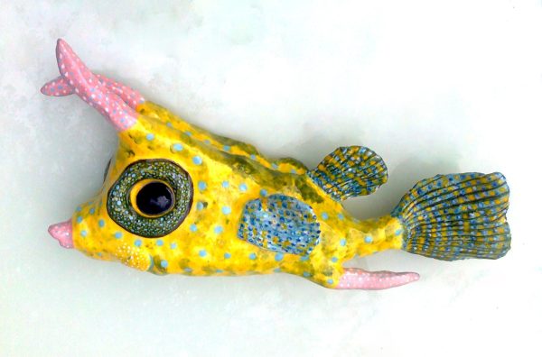Monica Fergus - Longhorn Cowfish