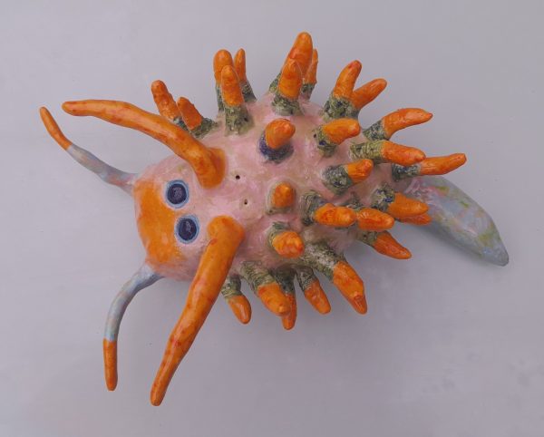 Monica Fergus - Orange Face Sea Slug