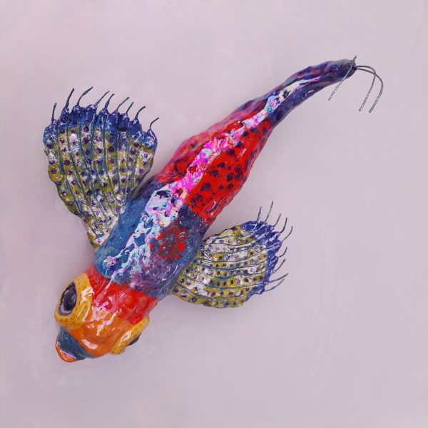 Monica Fergus - Plankton - Cardinalfish larva