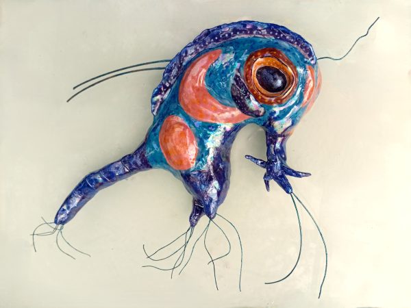 Monica Fergus - Plankton - Green Crab larva