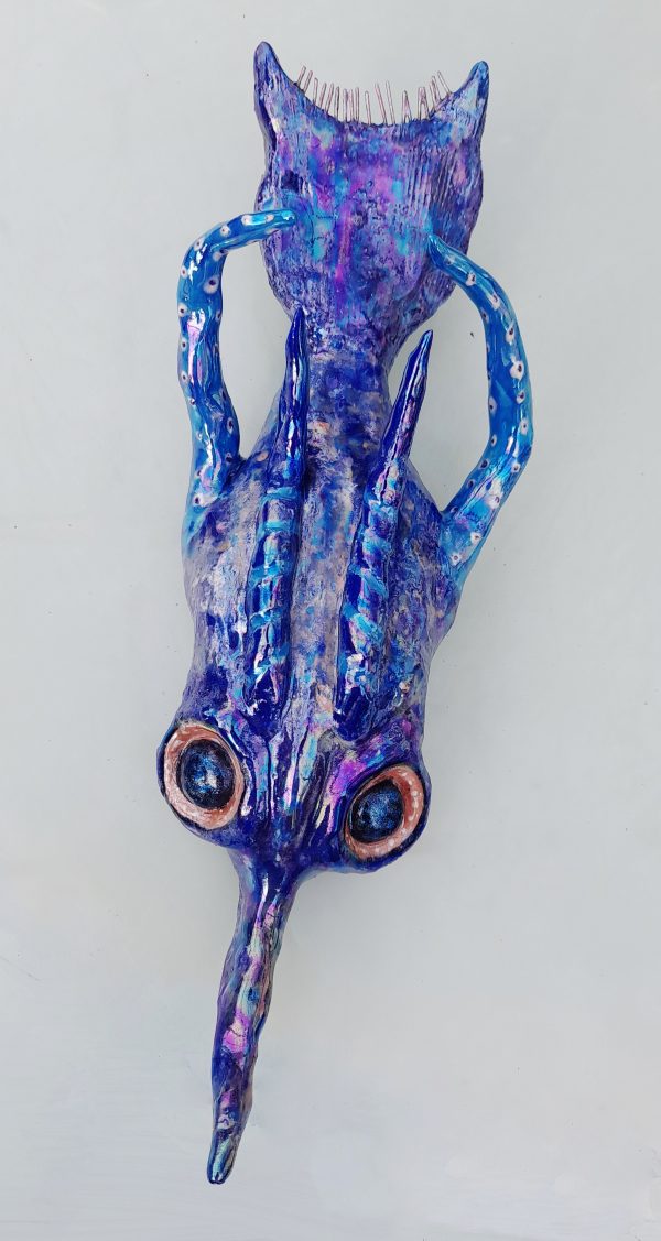 Monica Fergus - Plankton - Mantis Shrimp larva