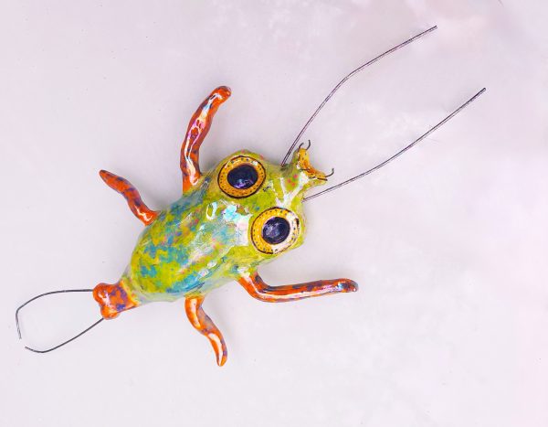Monica Fergus - Plankton - Porcelain Crab larva
