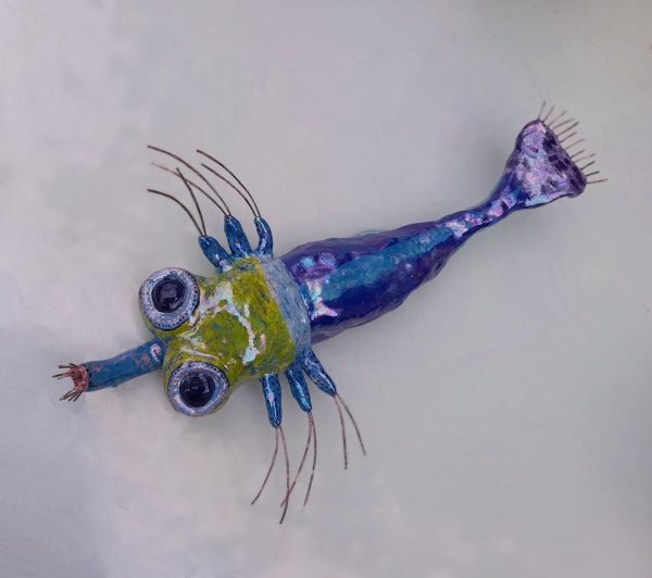 Monica Fergus - Plankton - Prawn larva