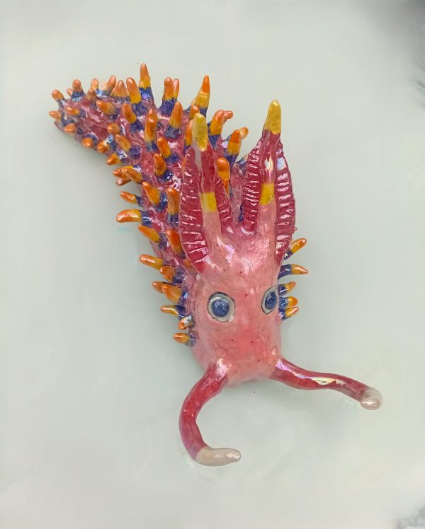 Monica Fergus - Rainbow Sea Slug