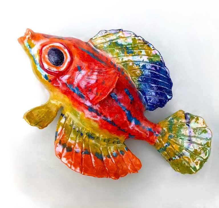 Monica Fergus - Flasher Wrasse