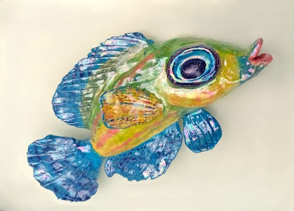 Monica Fergus - Peacock Wrasse