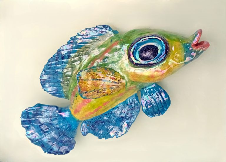Monica Fergus - Peacock Wrasse