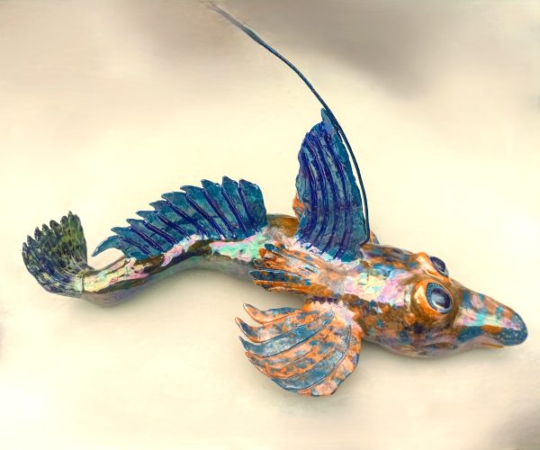 Monica Fergus - male Dragonet in mating display
